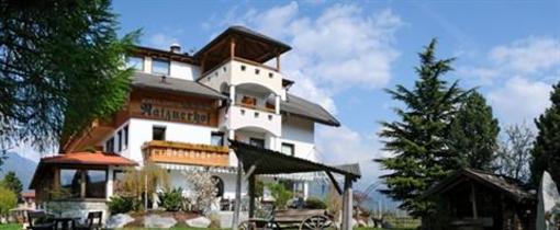 фото отеля Mineralienhotel Natznerhof