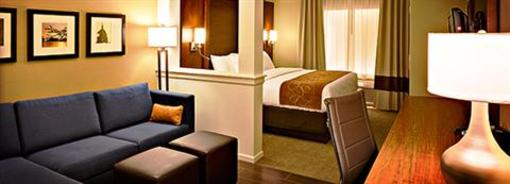 фото отеля Holiday Inn Express Hotel & Suites Olathe North