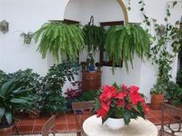 Hotel San Miguel Cordoba