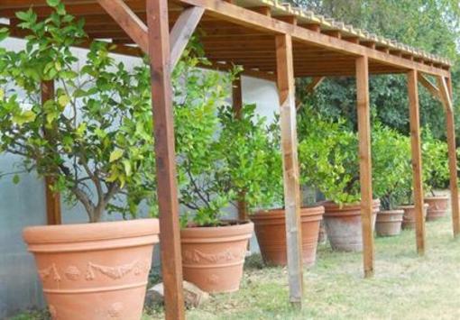 фото отеля Agriturismo La Badiola Caio Alto