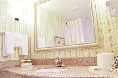 фото отеля Hilton Garden Inn Nashville Airport