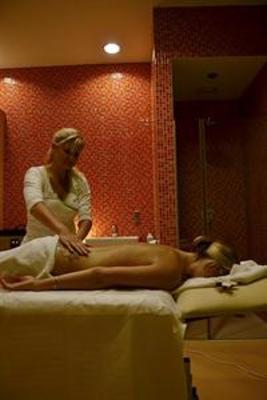 фото отеля Wellness Hotel Vista