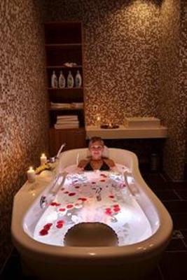 фото отеля Wellness Hotel Vista
