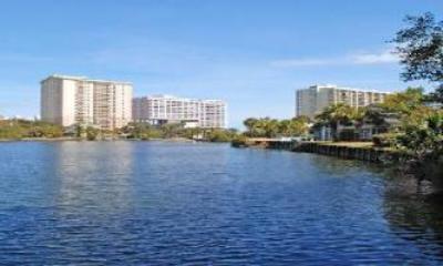 фото отеля Kingston Plantation Condos