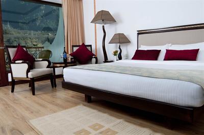 фото отеля Aveda Hotel Manali