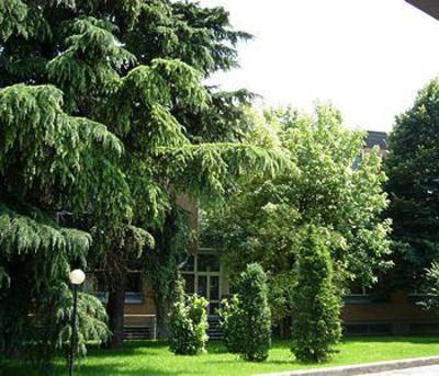 фото отеля Green Park Bologna Hotel Granarolo dell'Emilia