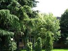 фото отеля Green Park Bologna Hotel Granarolo dell'Emilia