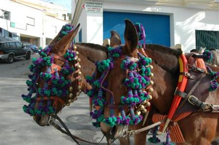 фото отеля Posada la Plaza