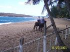 фото отеля Parador Villas del Mar Hau