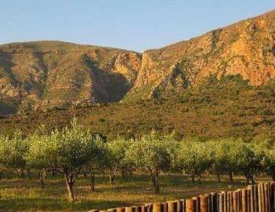 фото отеля Kamerkloof Guest House