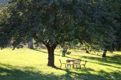 фото отеля Hotel La Colombiere Cantal