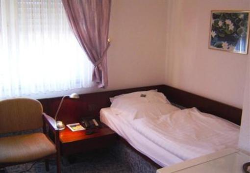 фото отеля Hotel Raisch Steinwenden