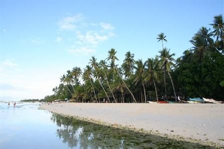 фото отеля Alona Kew White Beach Resort