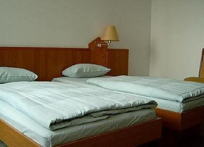 фото отеля Fair Hotel Am Rathaus Schwalbach am Taunus