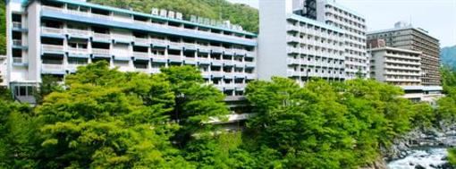 фото отеля Kinugawa Onsen Ryokan