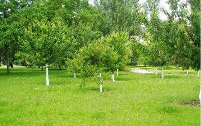 фото отеля La Ferme de Myriam