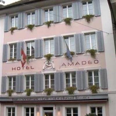 фото отеля Hotel Amadeo Zofingen