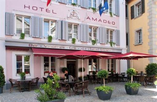 фото отеля Hotel Amadeo Zofingen