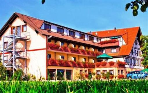 фото отеля Hotel Gasthof Lowen Marschalkenzimmern