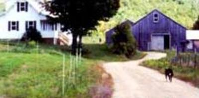 фото отеля Windy Hill Bed and Breakfast