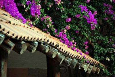 фото отеля Villas Arquelogicas Hotel Uxmal