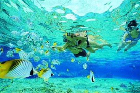 фото отеля Secret Harbour Beach Resort Saint Thomas (Virgin Islands, U.S.)