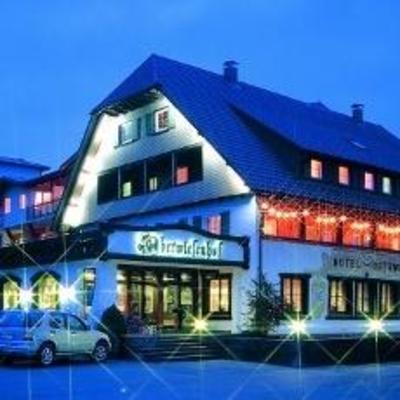 фото отеля Schwarzwaldhotel Oberwiesenhof Seewald