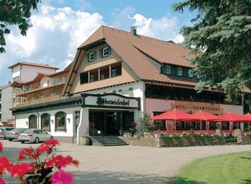 фото отеля Schwarzwaldhotel Oberwiesenhof Seewald