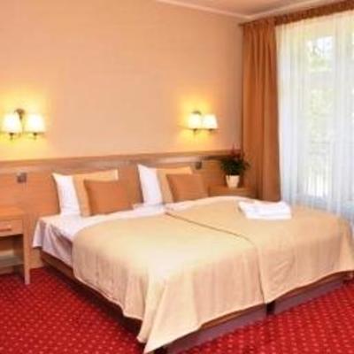 фото отеля Hotel Pod Arlem
