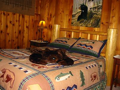 фото отеля Jewel Lake Bed & Breakfast
