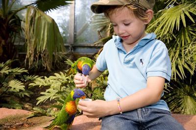 фото отеля Van der Valk Hotel Avifauna