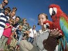 фото отеля Van der Valk Hotel Avifauna