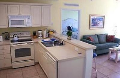 фото отеля The Cove on Ormond Beach