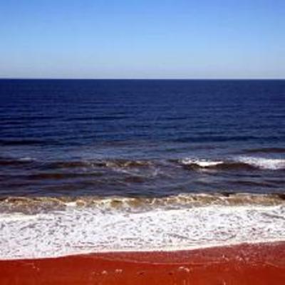 фото отеля The Cove on Ormond Beach