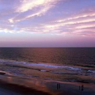 фото отеля The Cove on Ormond Beach