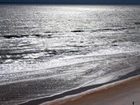 фото отеля The Cove on Ormond Beach