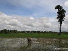 фото отеля The Pool and Palm Villa Siem Reap