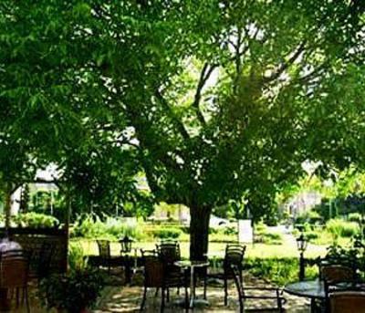 фото отеля Auberge Graaf Hendrik