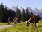 фото отеля Hotel Toggenburg Wildhaus