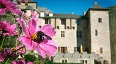 фото отеля Chateau De La Caze