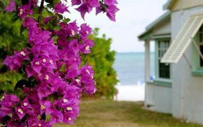 фото отеля Pines and Palms Resort