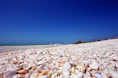 фото отеля Island Inn Sanibel Island