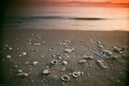 фото отеля Island Inn Sanibel Island