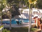 фото отеля Hotel y Bungalows Beso del Sol