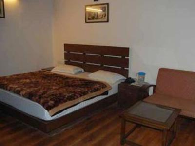фото отеля Regency Shyam Sunder