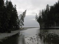 Fat Salmon Backpacker's Hostel