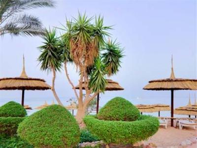 фото отеля Royal Grand Sharm Hotel