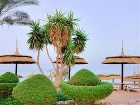 фото отеля Royal Grand Sharm Hotel