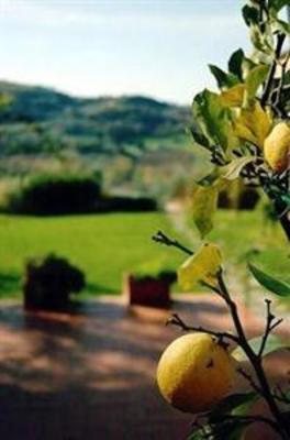 фото отеля Relais Poggio Borgoni