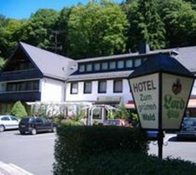 фото отеля Hotel Zum Grunen Wald Villmar